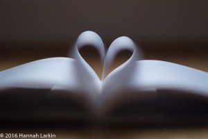Book hearts-4