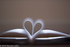 Book hearts-7